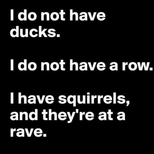Why have Ducks when The squirrels are raving?
